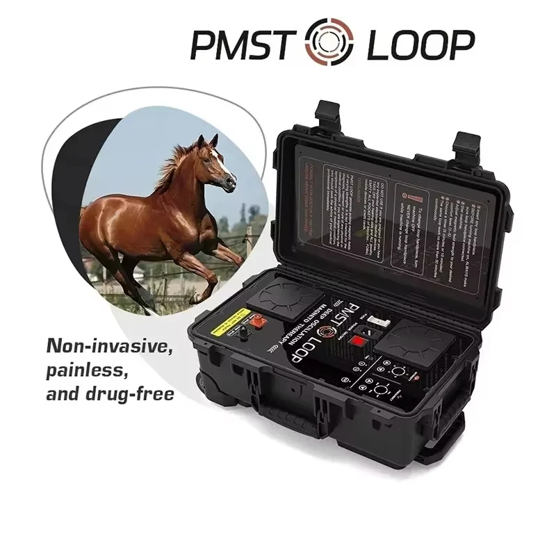 Máquina PMST de terapia eletromagnética de pulso PEMF para cavalos com laço único e borboleta para tratamento de animais