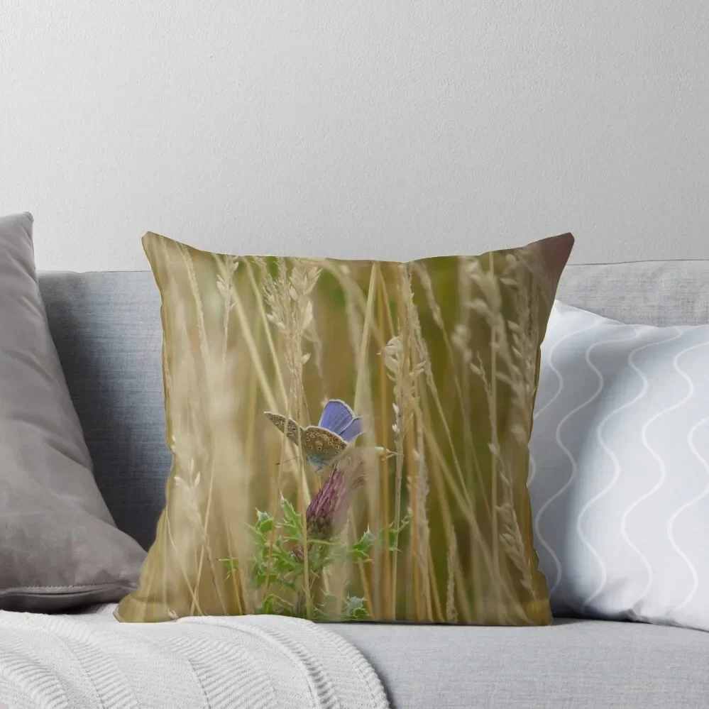 Adonis blue butterfly through the grass Throw Pillow Sofa Decorative Covers Pillow Cover autumn pillowcase pillow