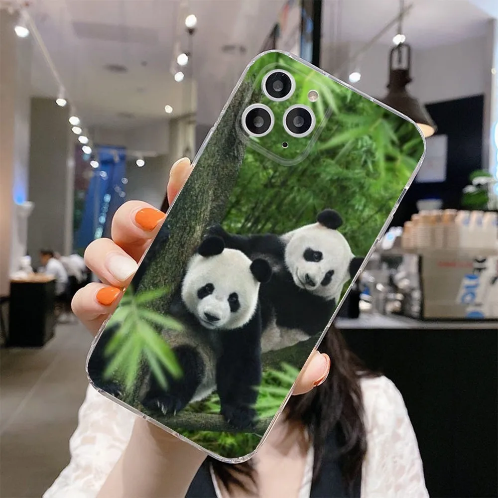 F-Fubao Panda Phone Case For IPhone 12,13,Mini,11,15,Pro,MAX,XR,XS,7,X,SE,8,14Plus Clear Soft Cover Fundas