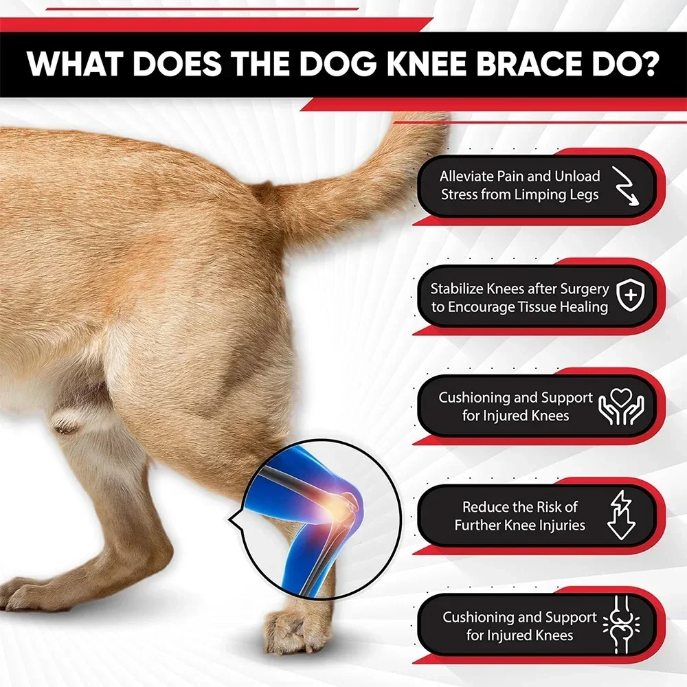 Updated Protects Bandage Dog Arthritis Protector Cover Dog Leg Support Dogs Hock Joint Brace Pet Knee Pads Dogs Injury Recovery