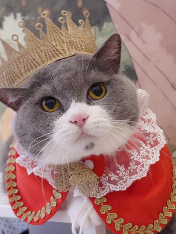 S Royal Coronation …