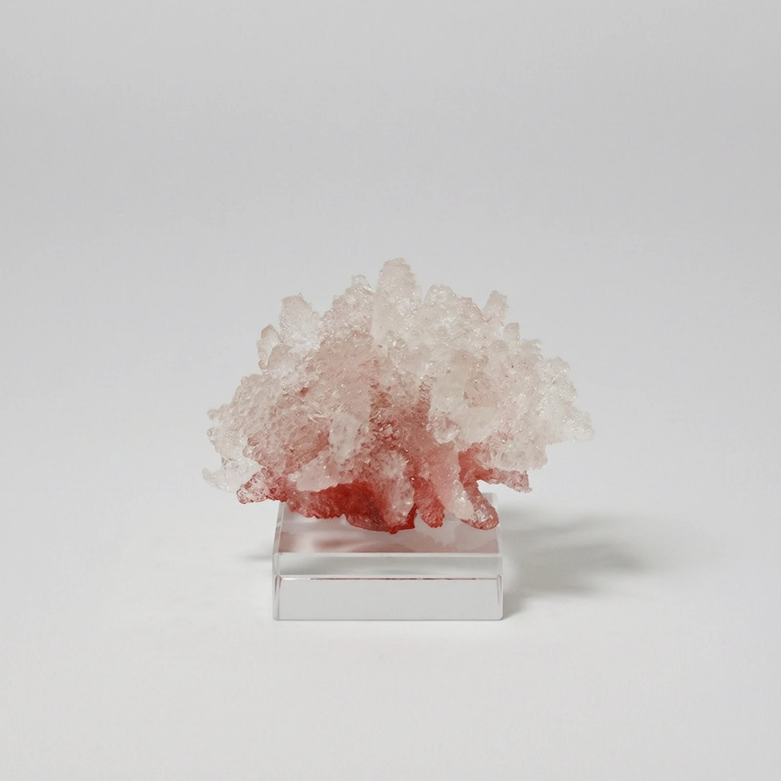 Escultura de Coral com Base de - Abstract Sculpture Resin avaliação e preço