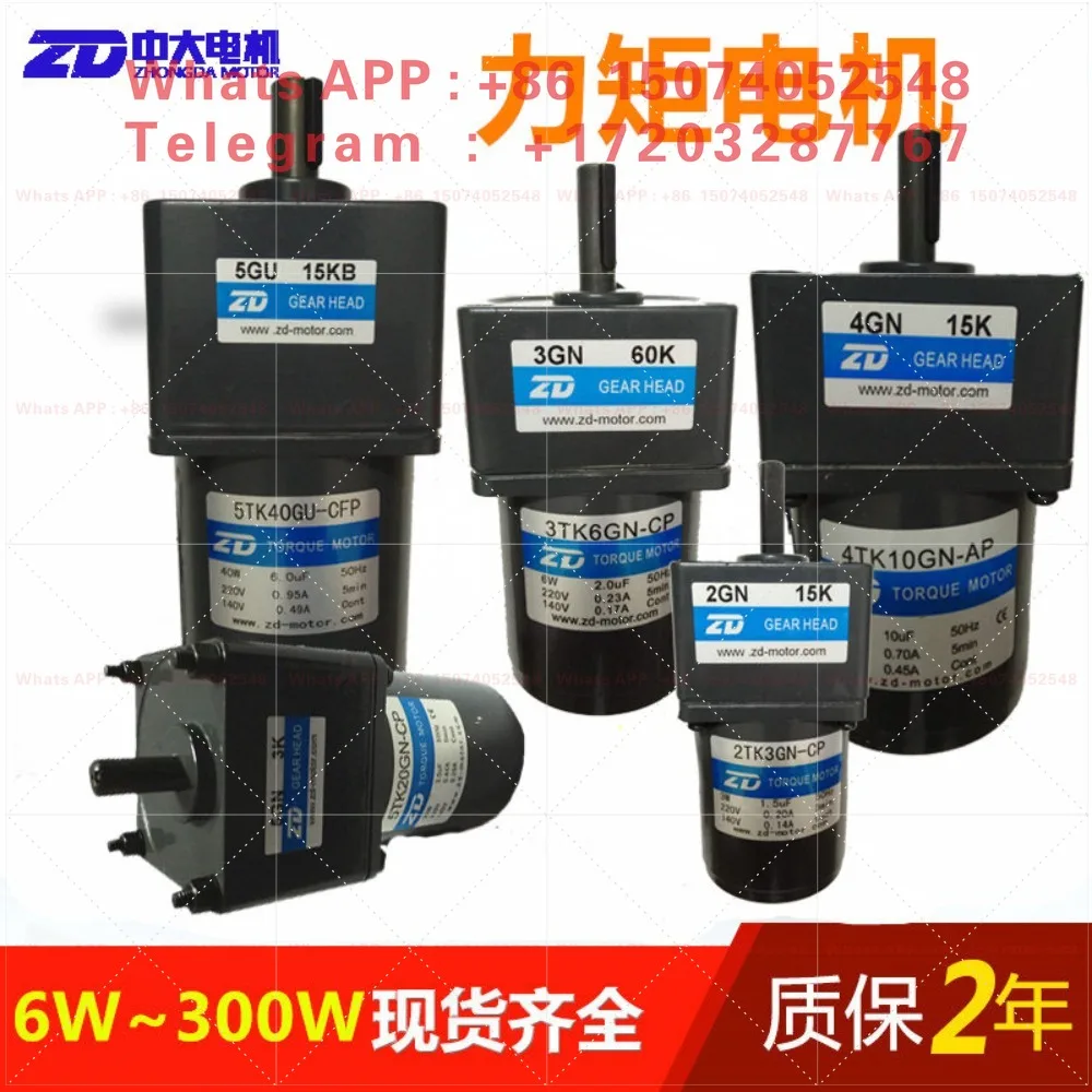 Mask machine torque motor 3/6/10 W/20W/40W AC 220V 110V piece