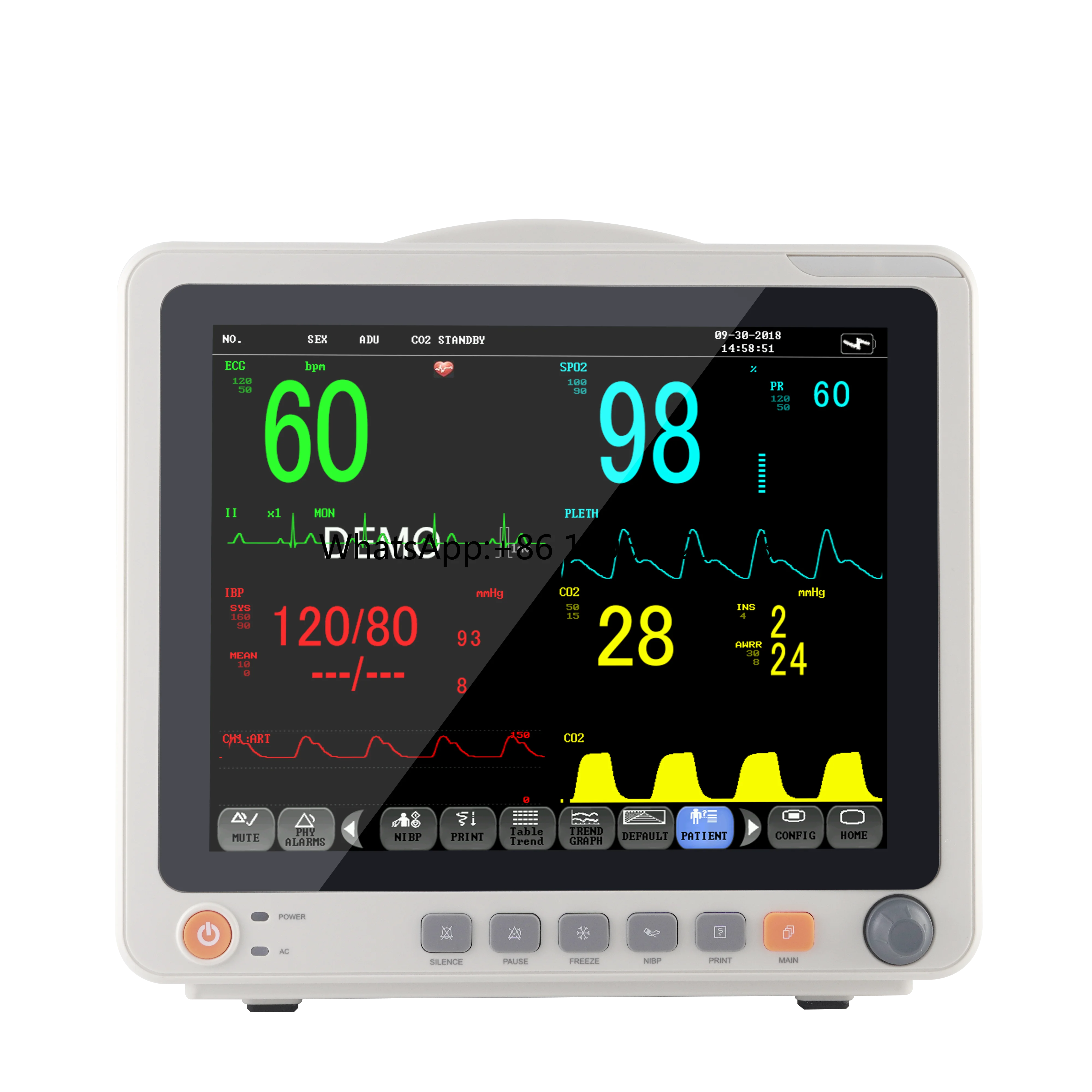 Standard configuration 12  inch Touch-screen  Multi-parameter Veterinary ECG SPO2 vital signs monitor