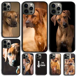 Rhodesian Ridgeback Dog Phone Case For Samsung Galaxy S10 S22 S23 S24 Note 10 20 Lite S20 Plus S21 Ultra Back Cover