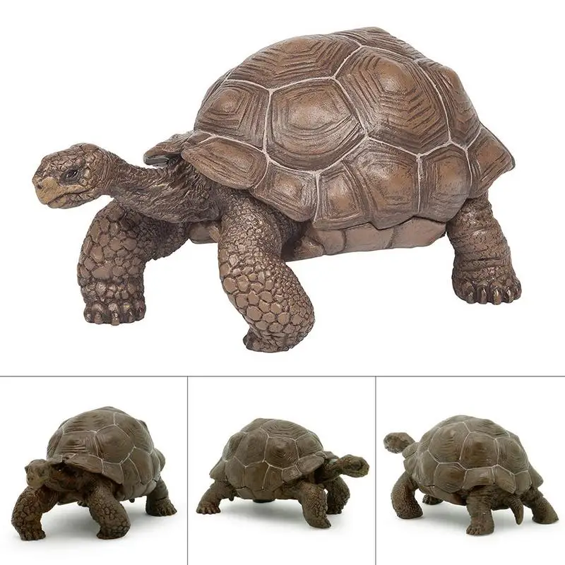 Modèle de tortue angitortue Nimal pour enfants, tortue Galapagos, figurine animale, jouet de collection, cadeau de Noël, pouces