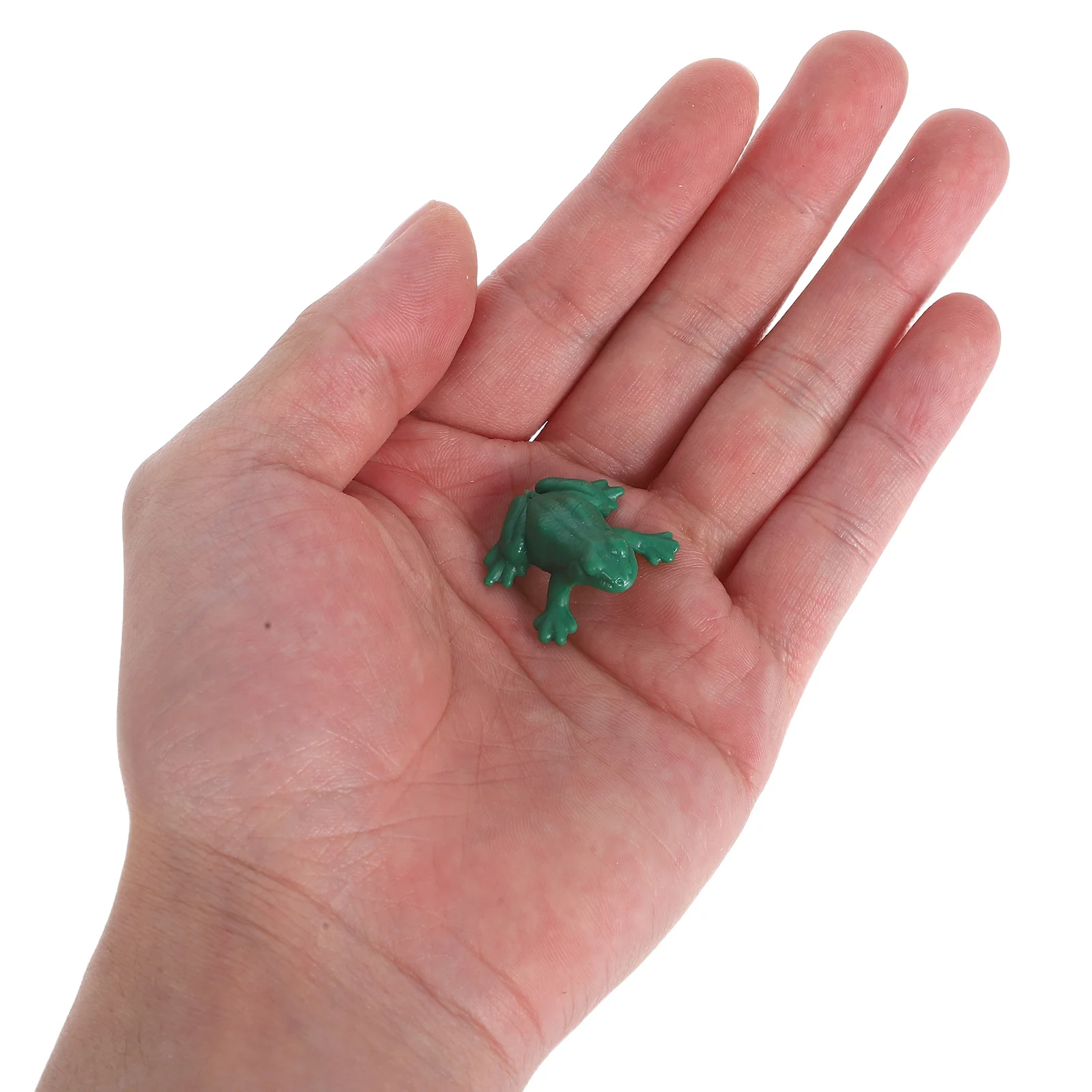 

24 Pcs Plastic Simulation Decors Artificial Model Figurine Mini Garden Frogs Imitation Miniature Fairy