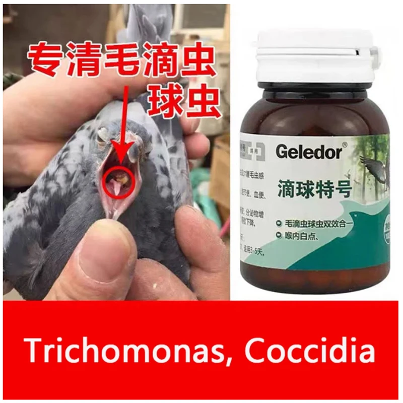 Trichomonas Pigeon Coccidia Two-in-one Infection Nodular Stool Digestive Disorders 100 Tablets