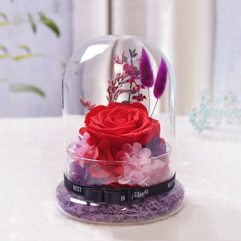 Free Shipping 2sets/pack 8*15cm 12*30cm Split Glass Base Dome Decoration Transparent Cover DIY Friend Gift Wedding Live Prop