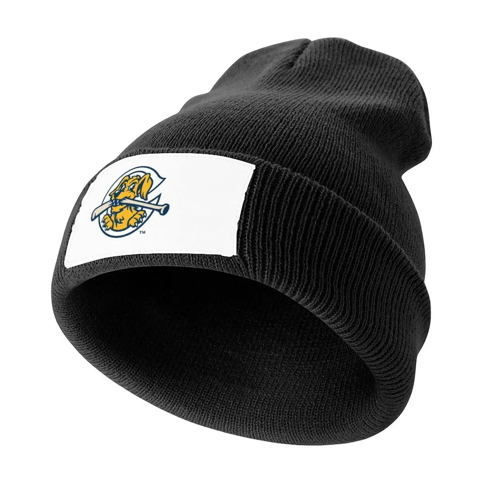 

Fan RiverDogs people Charleston Knitted Cap Dropshipping custom Hat For Women 2025 Men's