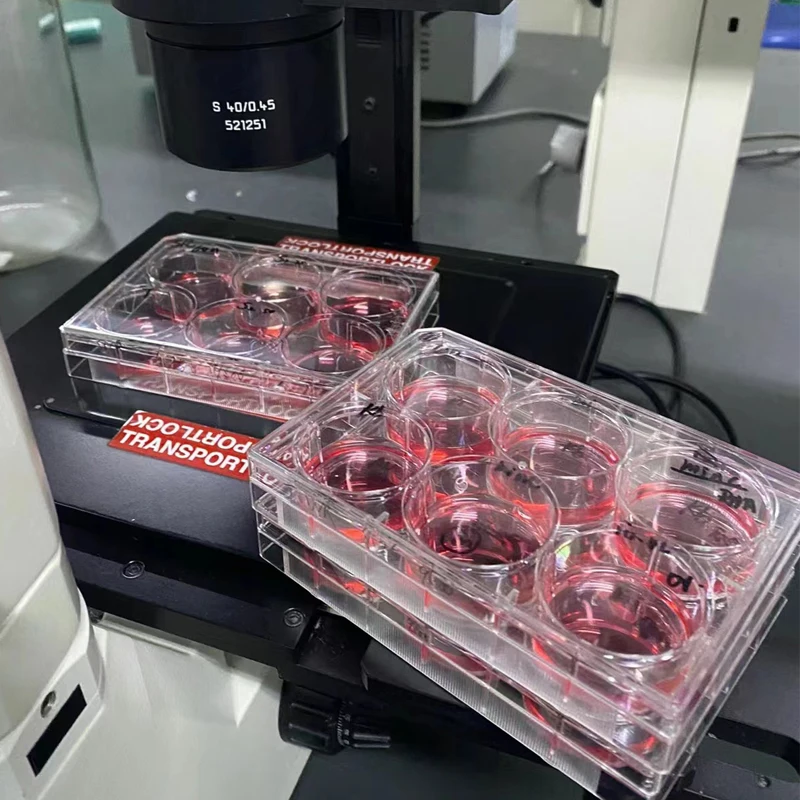 1Pcs Cell Culture Plate 6/24/48/96-Holes Bacterial Culture Plate Sterilization Packaging Lab Culture Plate