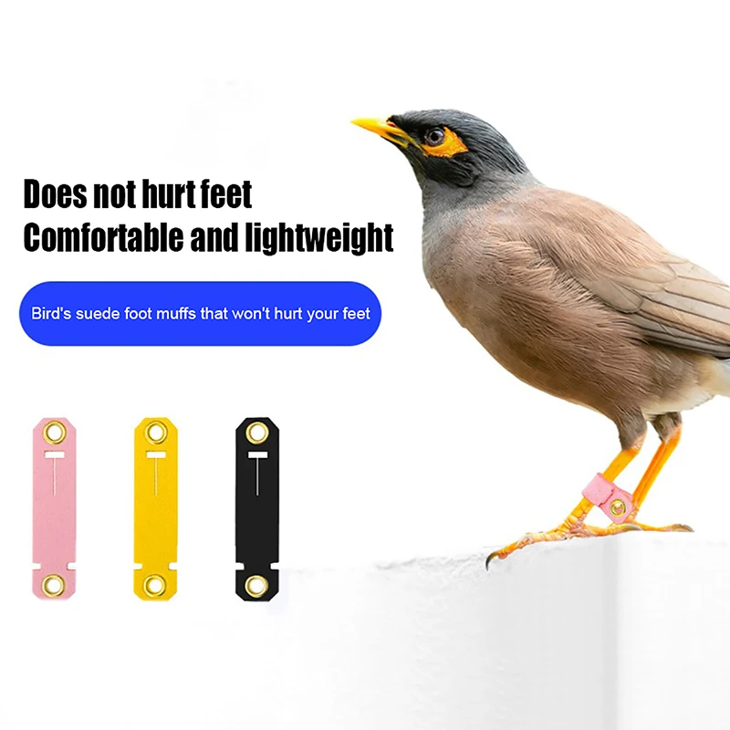 Pet Parrot Leg Ring Ankle Foot Chain Bird Ring Parrot Foot Clasp Foot Sleeve Bird Foot Live Buckle Rings Bird Accessories