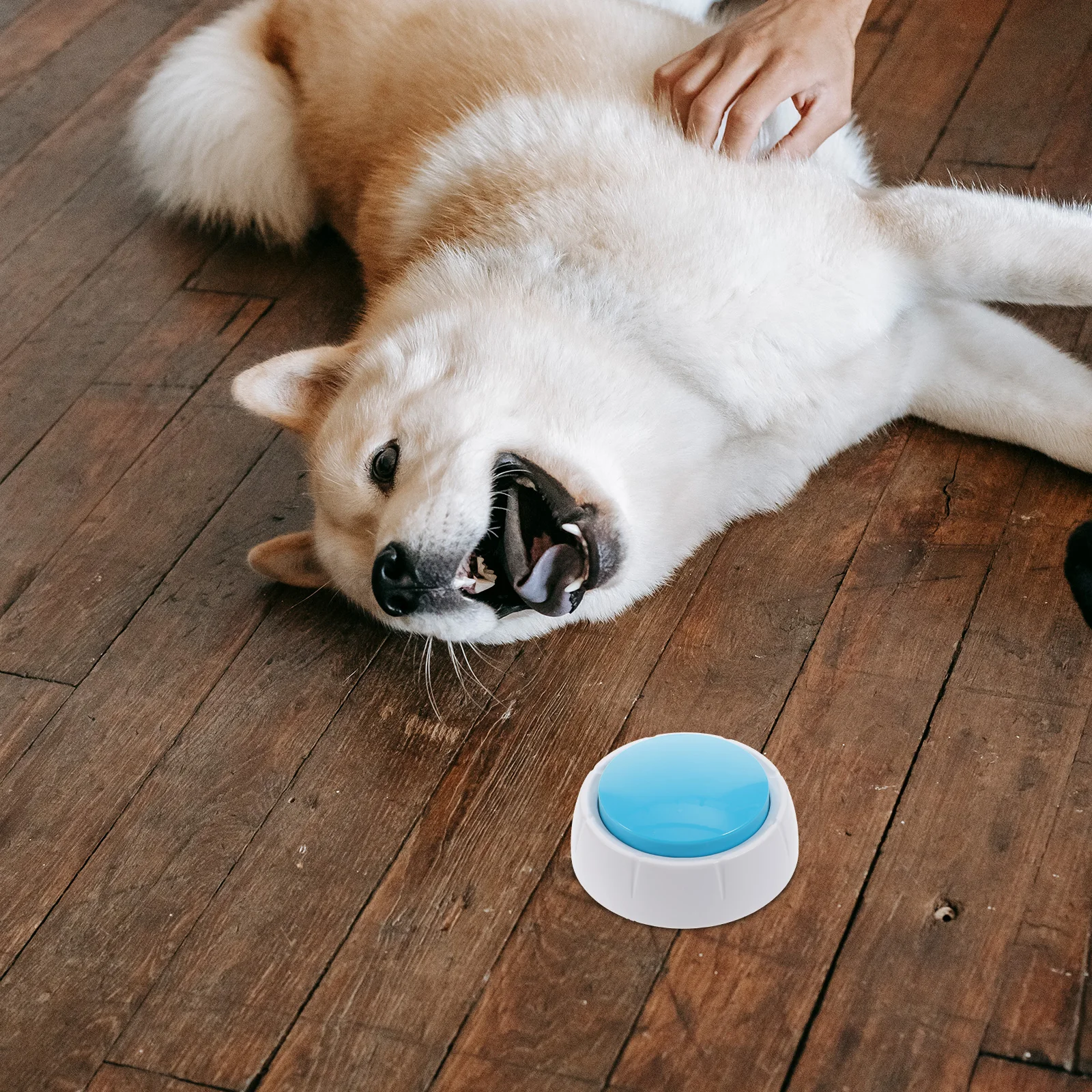 

Pet Voice Button Sound Training Dog Recorder Speech Buttons Communication Pp Talking