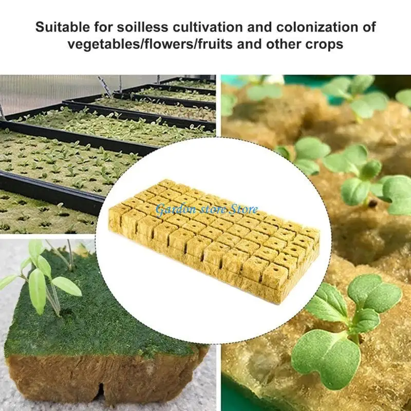 B0KB الصخور الصوف مكعبات البذور بذرة النمو مكعبات لمكعبات صخور صخرية الزراعة مكعبات استنساخ مكعبات الاستنساخ الزراعة الزراعة #3