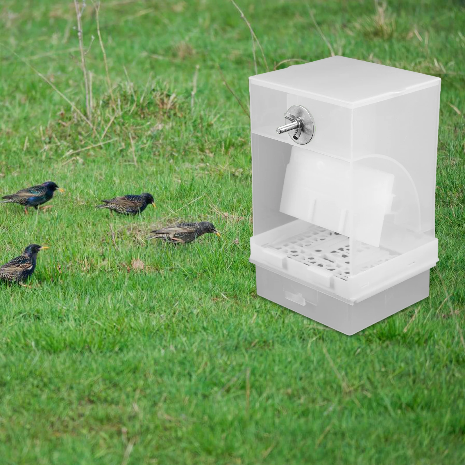 

Bird Feeder Feeding Device Parrot Pet Supplies Practical Acrylic Food Container