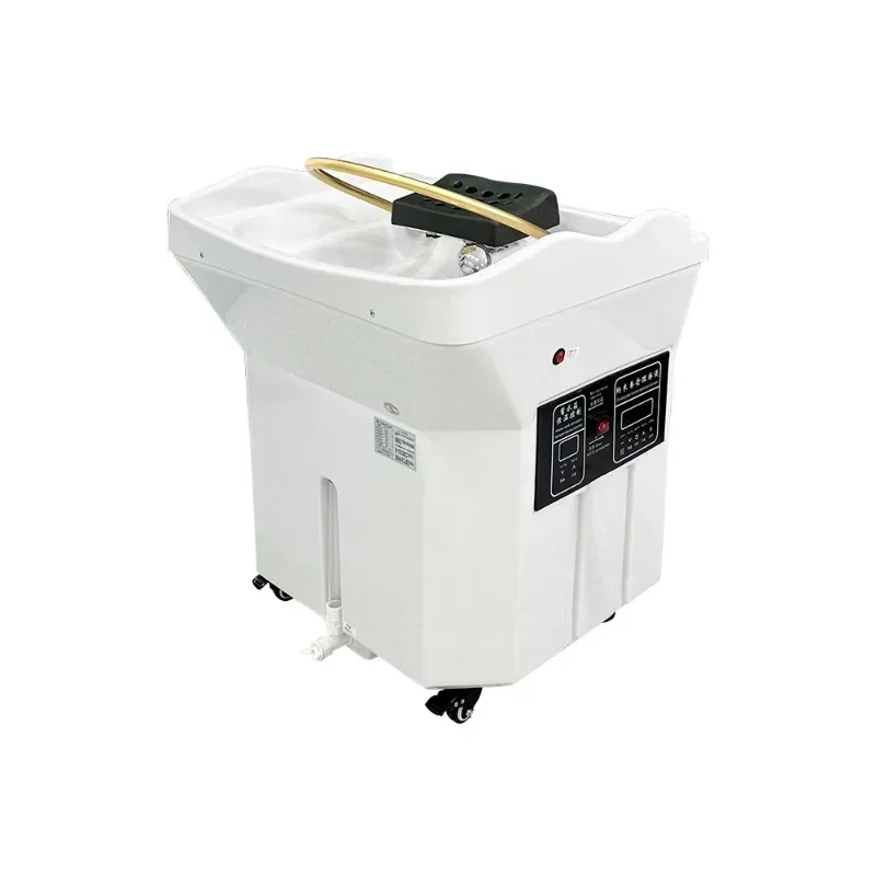 Kursi Salon Minimalis Elektrik Pintar Pijat Profesional Spa Rambut Stretcher Kosmetolog Bak Mandi Mobile Tempat Tidur Perawat Interior