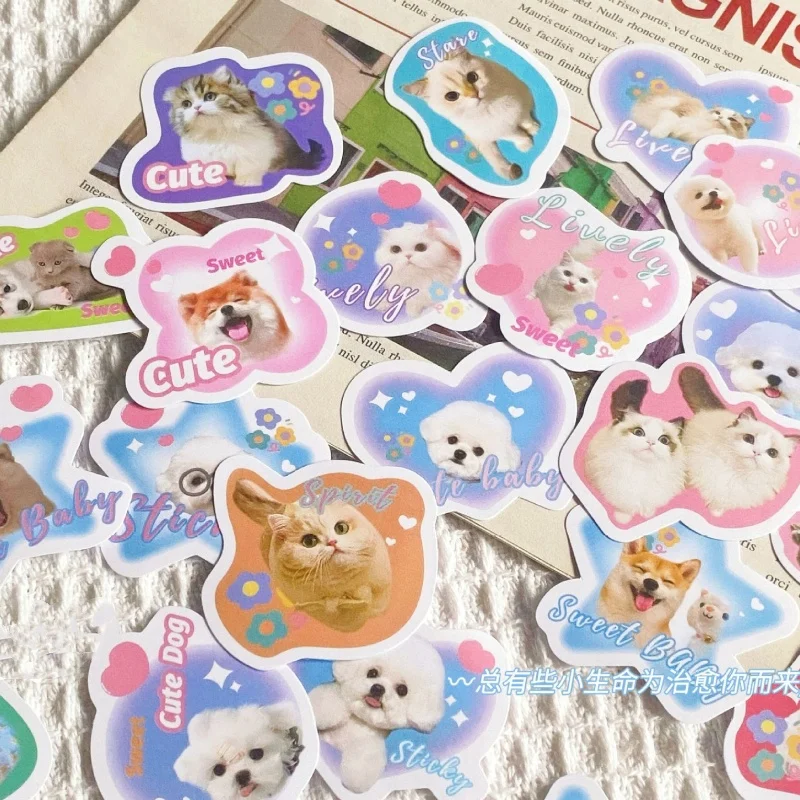 60sheet Cartoon Cat Puppy Sticker for Studet Real Shot American Style Kitten Dog Scrapbook Sticker DIY Decor Journal Sticker