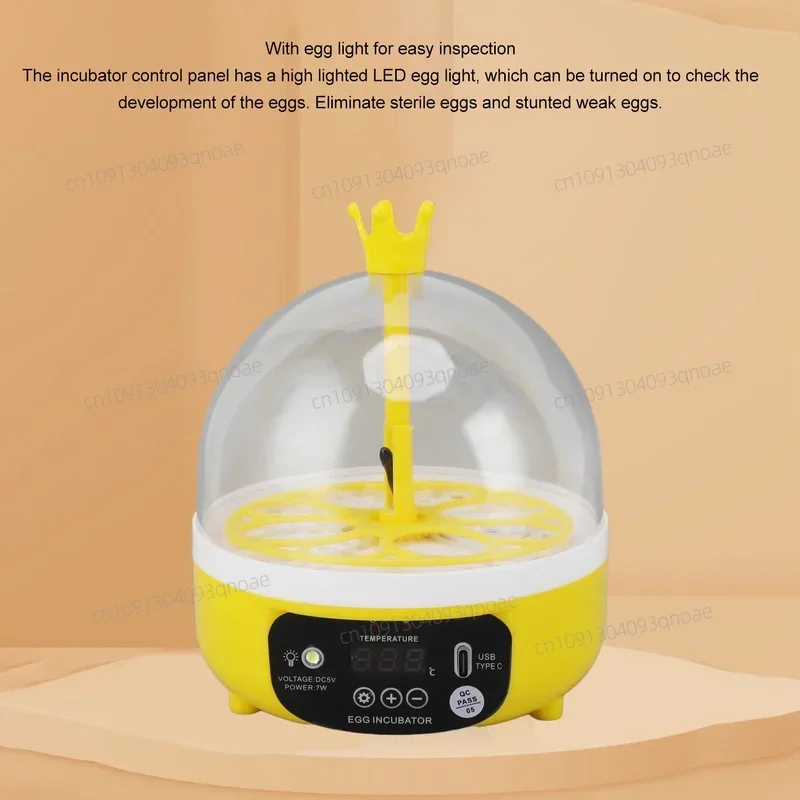 

Mini Egg Incubator for Home Automatic Temperature Humidity Control 4 Eggs Candler Poultry Hatching Machine for Chickens Ducks Pi