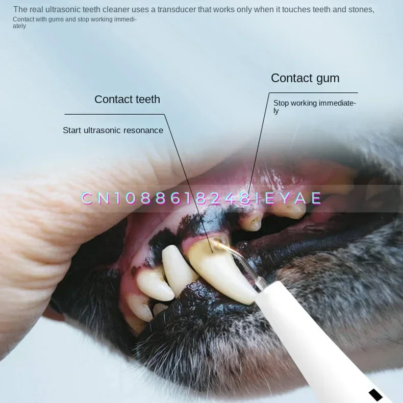 Ultrasonic Pet Tooth Cleaner Dog Toothbrush Removal Pets Calculus Removal Dogs Accesorios Cat Toothbrush  Cosas Para Perro