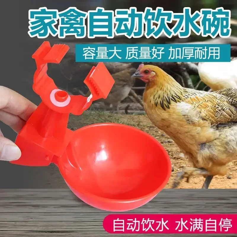 A New Automatic Poultry Drinking Bowl, Water Dispenser, Hanging Cup, Water Spout, Bowl Type Drinking Water Breeding B