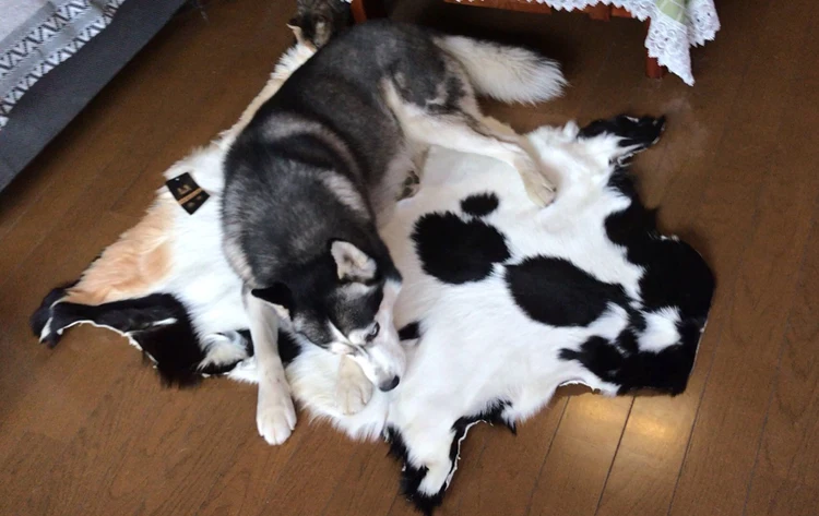 

Коврик из натуральной козьей шкуры — разноцветный лоскутный мех, коричневый/белый/черный ковер, коврик для стула и дивана, напольное покрытие из овчины с цветочным принтом