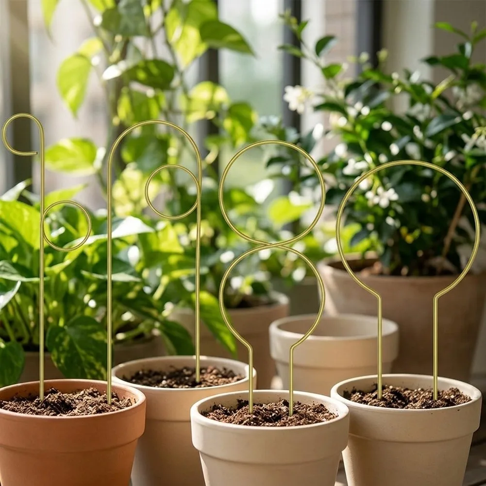 Creative Plant Support Frame Indoor Plant Support Comprehensive Trellis Collection Multi-purpose Design For Plants