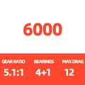 6000