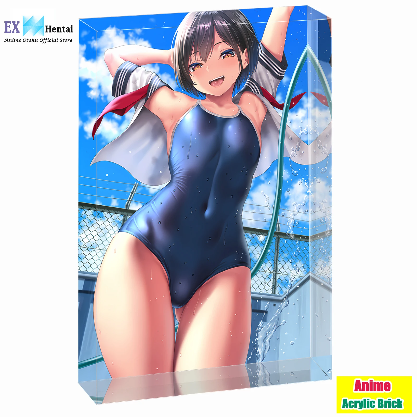 

Anime Girl School Swimsuit Waifu Acrylic Block Display,Sexy Illustration Art Stand,Collectible Merchandise for Otaku Hobby Gift