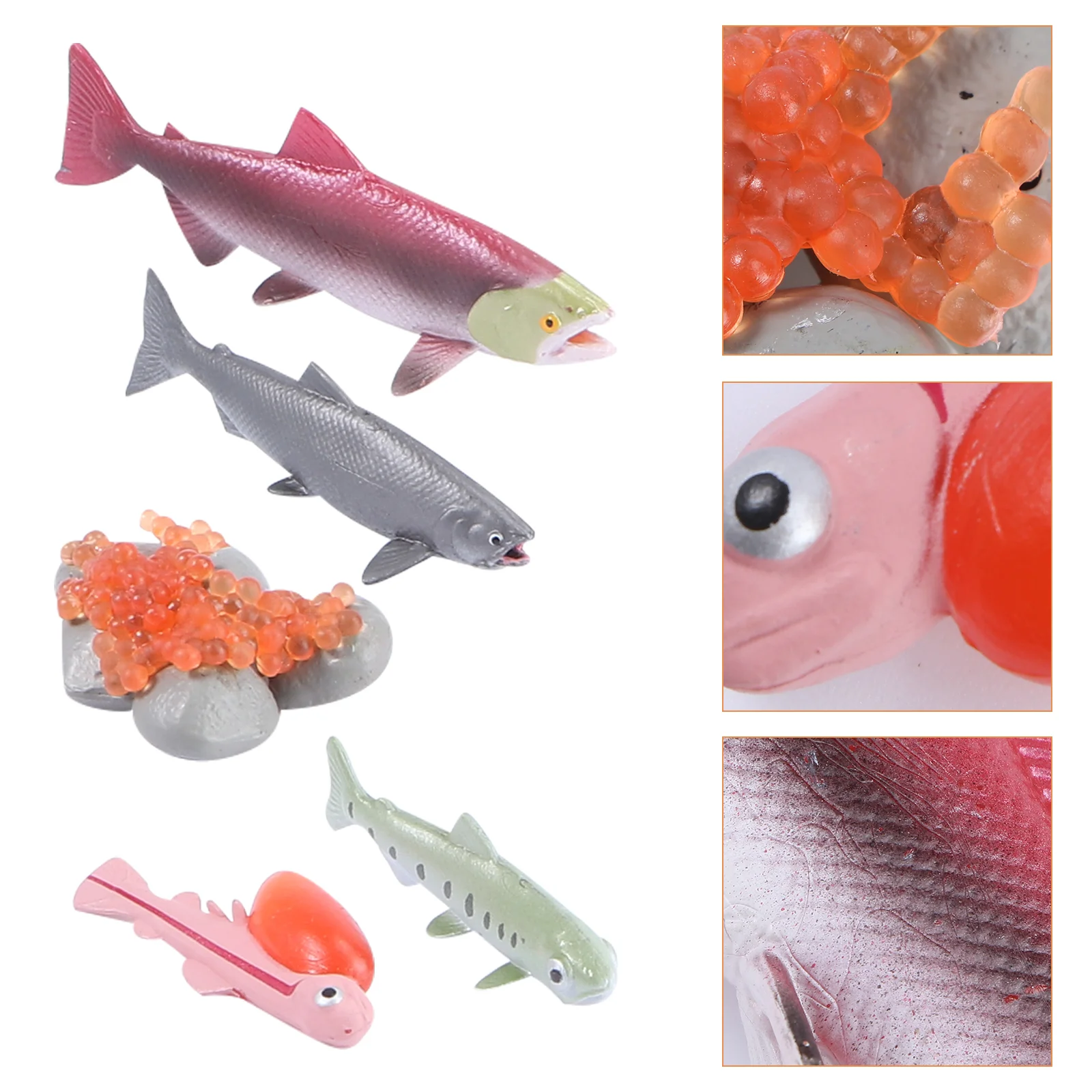 4 Pcs Growth Cycle Model Phases of Salmon Figure Cognitive Toy Puzzle Realistic Kids Observing Fish Abs Crafts