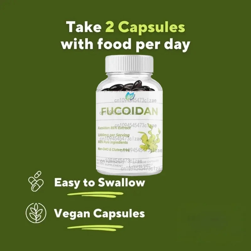 مستخلص فوكويدان نقي 85%، مناعة، صحة خلوية ودعم الجهاز الهضمي - 1000 مجم فوكويدان - 60 كبسولة نباتية لكل خدمة