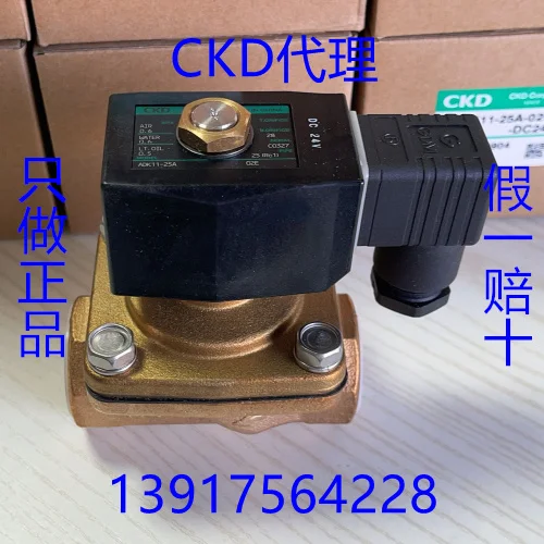 Completely Disassembled Solenoid Valve Adk 11-8A/10A-02E/02ES/03A-DC24V