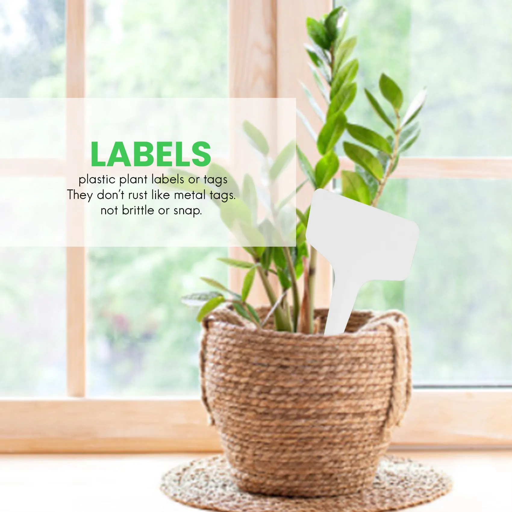 100 шт. ярлыки для сада, классификация садовых растений, ярлык для сортировки, бирка, пластиковая табличка, цвет белый