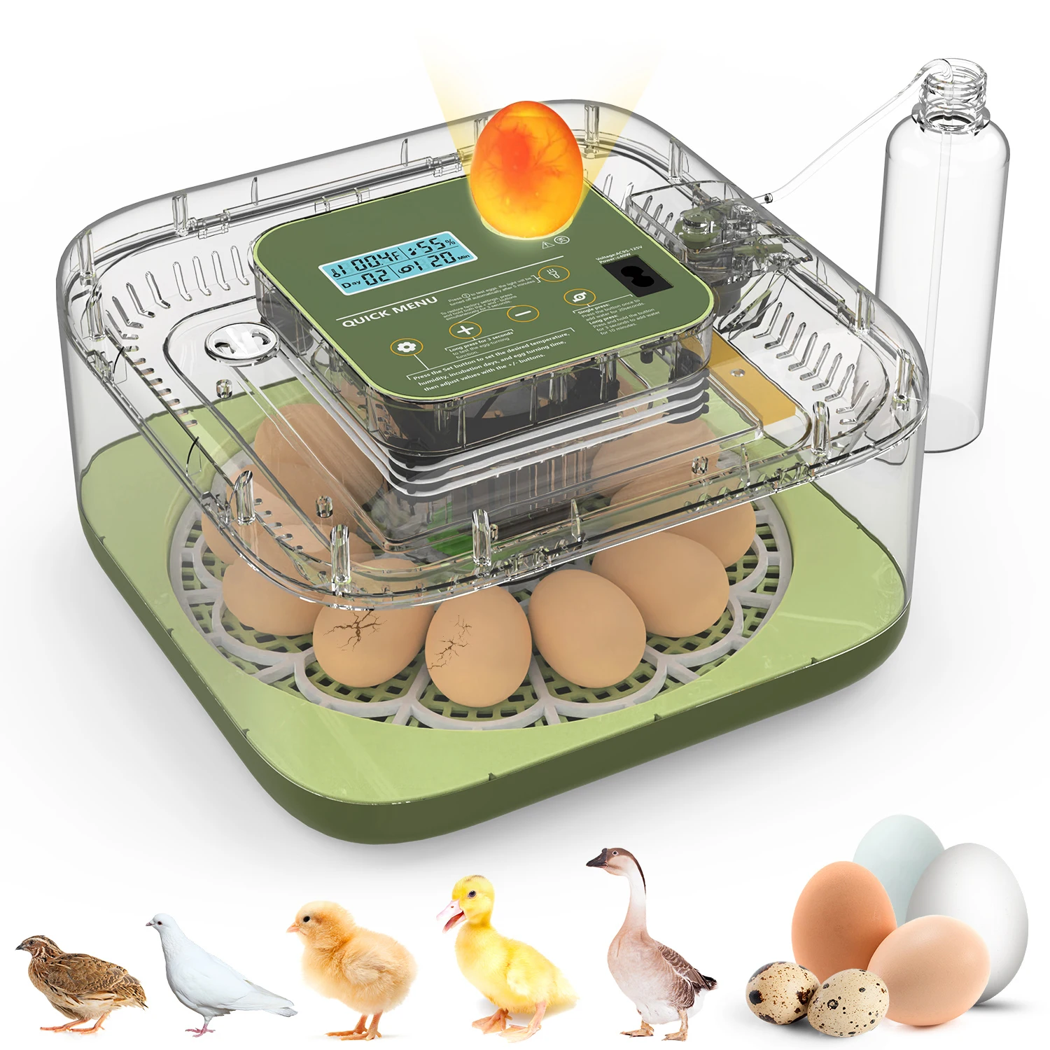 Incubateur à œufs de 12 places avec retournement automatique, contrôle de la température et de l'humidité, ovoscopie intégrée, grande capacité pour œufs de poule, de canard et d'oie