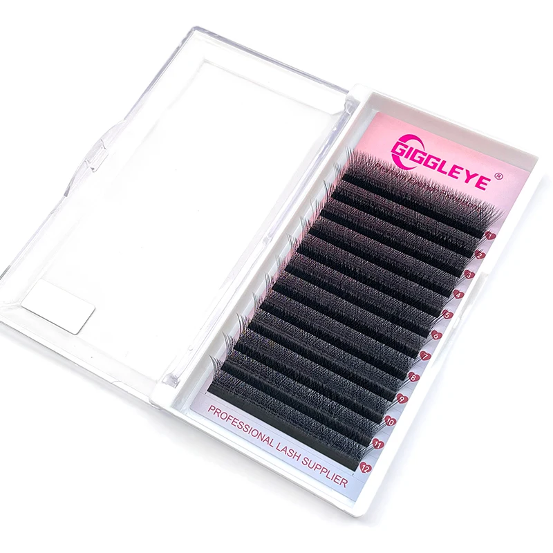 Ciglia a forma di W 3D C/D/DD Cluster Ciglia Premade Russo Volume Fan Estensione ciglia finte Forniture Cilia Strumenti per il trucco Nuovo