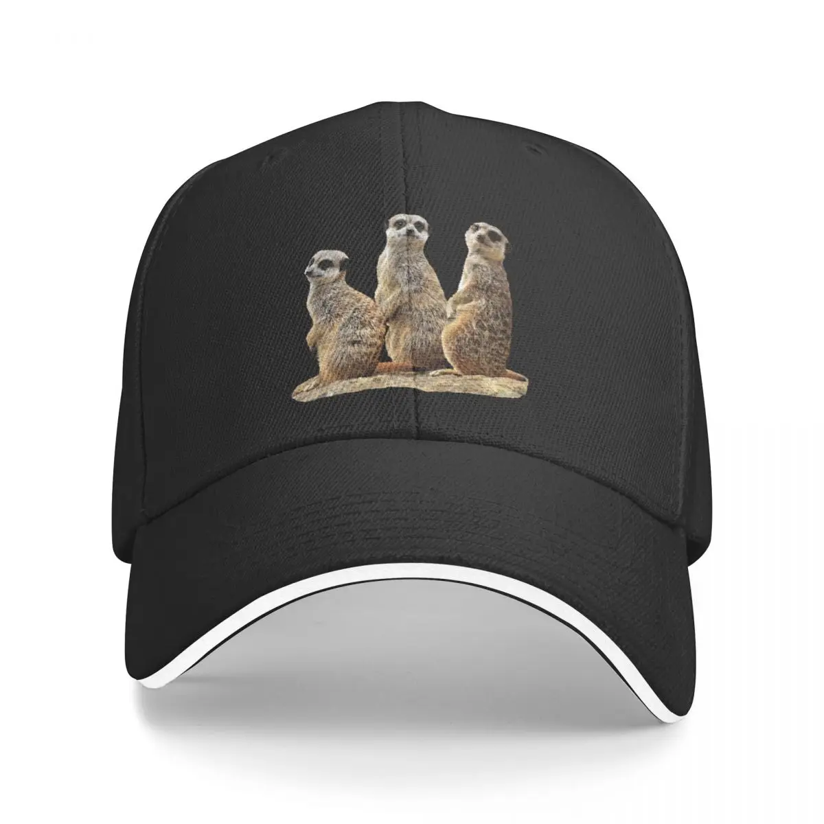 Funny meerkat on a rock in Africa Baseball Cap foam party Hat Golf Hat Women's Golf Wear Men's