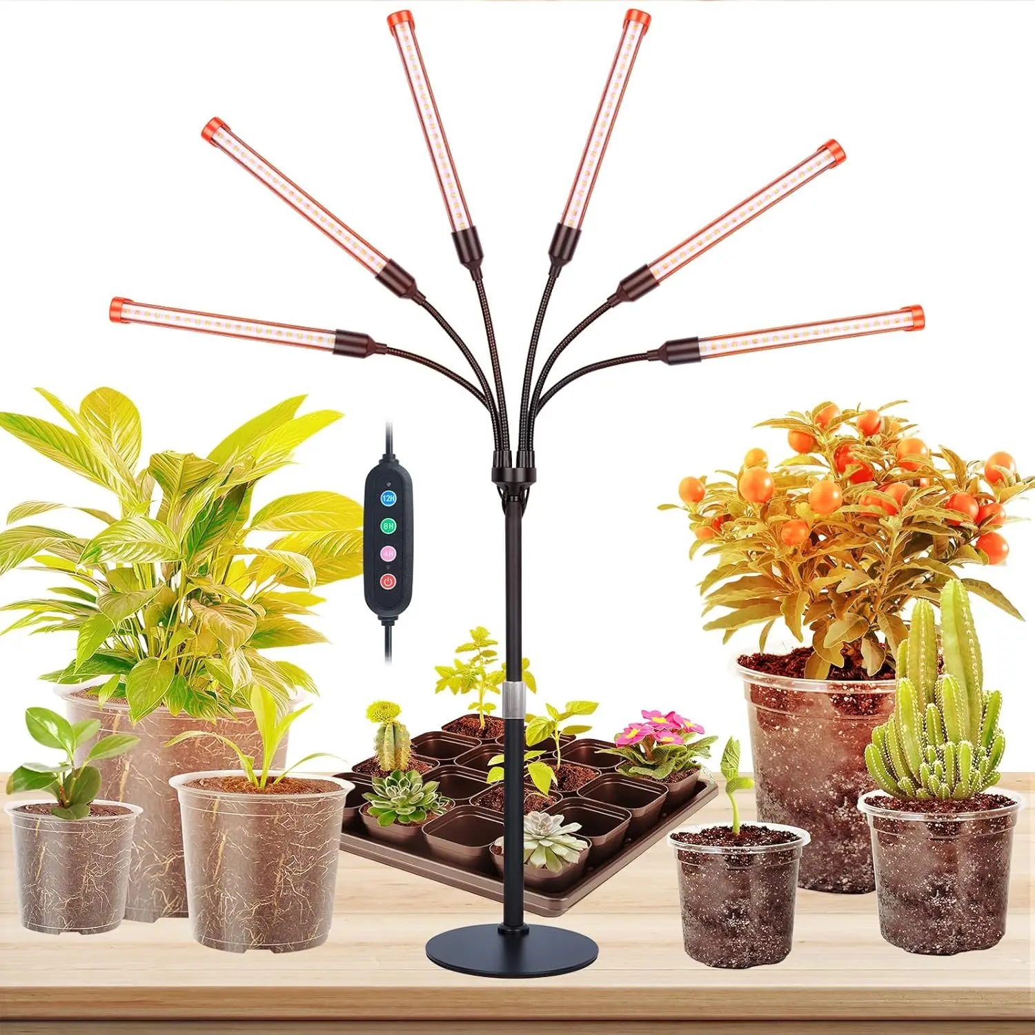 

6-Head Table Top Grow Light for Seed Starting, Indoor Plants, Bonsai, 54W Power Draw, Timer & Height Adjustable