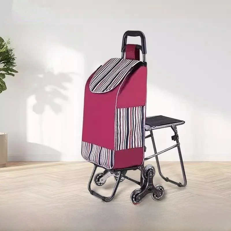 Durable Folding Shopping Cart Vegetable Buying Small Pulling Car Sturdy Rods Cloth Bag with  Elderly People Hand Pull Cart