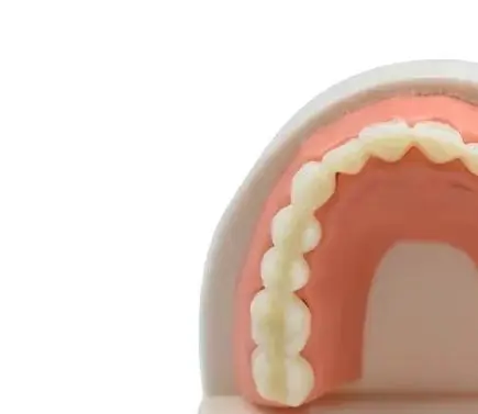 

Dental Cavities Model Standard Teeth Model Dentist Student Decay Model Children Kid Teaching Study Demonstration Tool