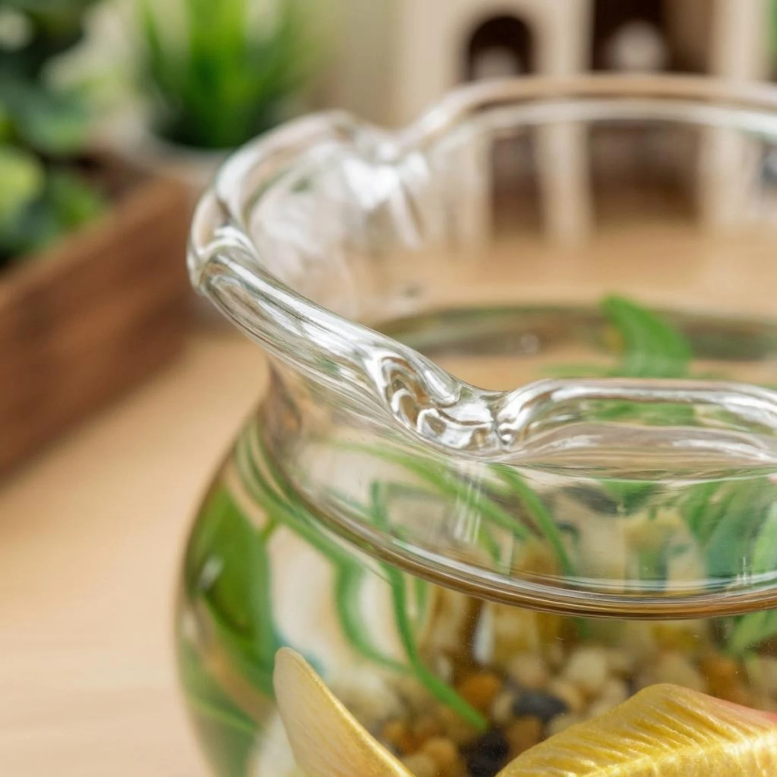 ตู้ปลาทรงกระบอกขนาดเล็กขอบโค้ง - Planted Aquarium Models บทวิจารณ์และราคา