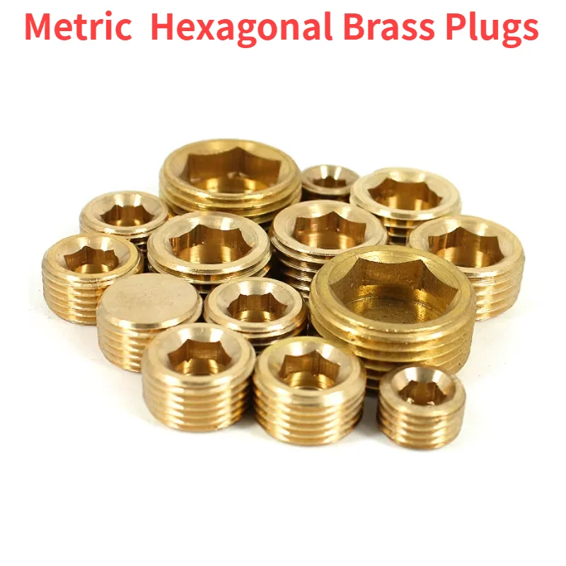 10PCS M8 M10 M12 M14 M16 M18 M20 Brass Hex Socket Plug Mold Water Stop Cooling Bolt Inner Hex Accessories
