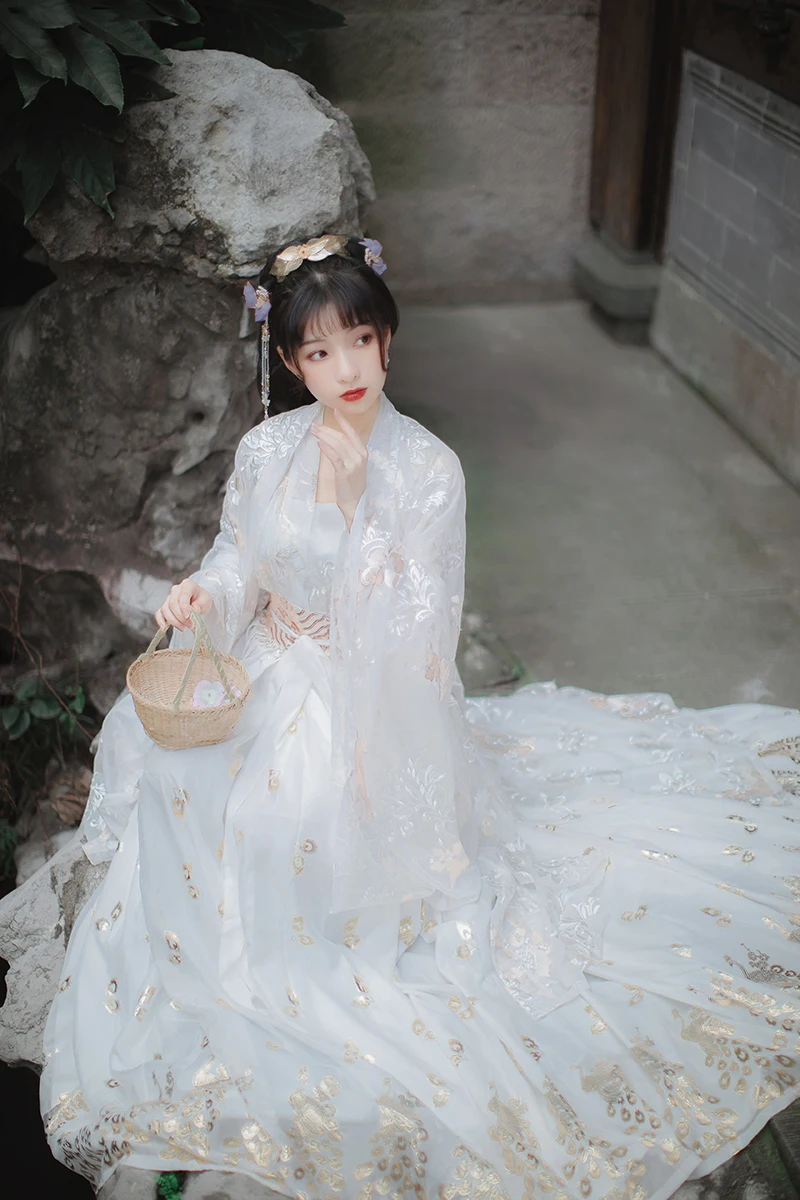 Women's Spring Summer High Quality Hanfu Chinese Style Ancient Costume Tang Dynasty Chest Waist Skirt Fairy Antique Skirt Suit