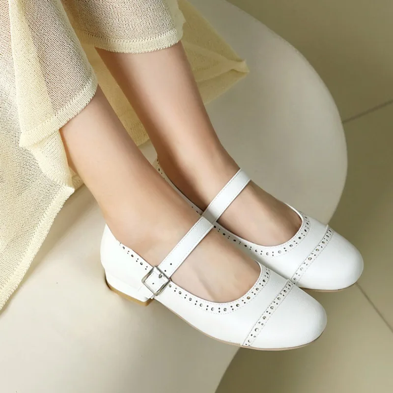2026 Spring/Summer Fashion Pink Women's Round Head Low Heel Thick Soled Shoes Suitable for Office Women's Daily Wear view 2