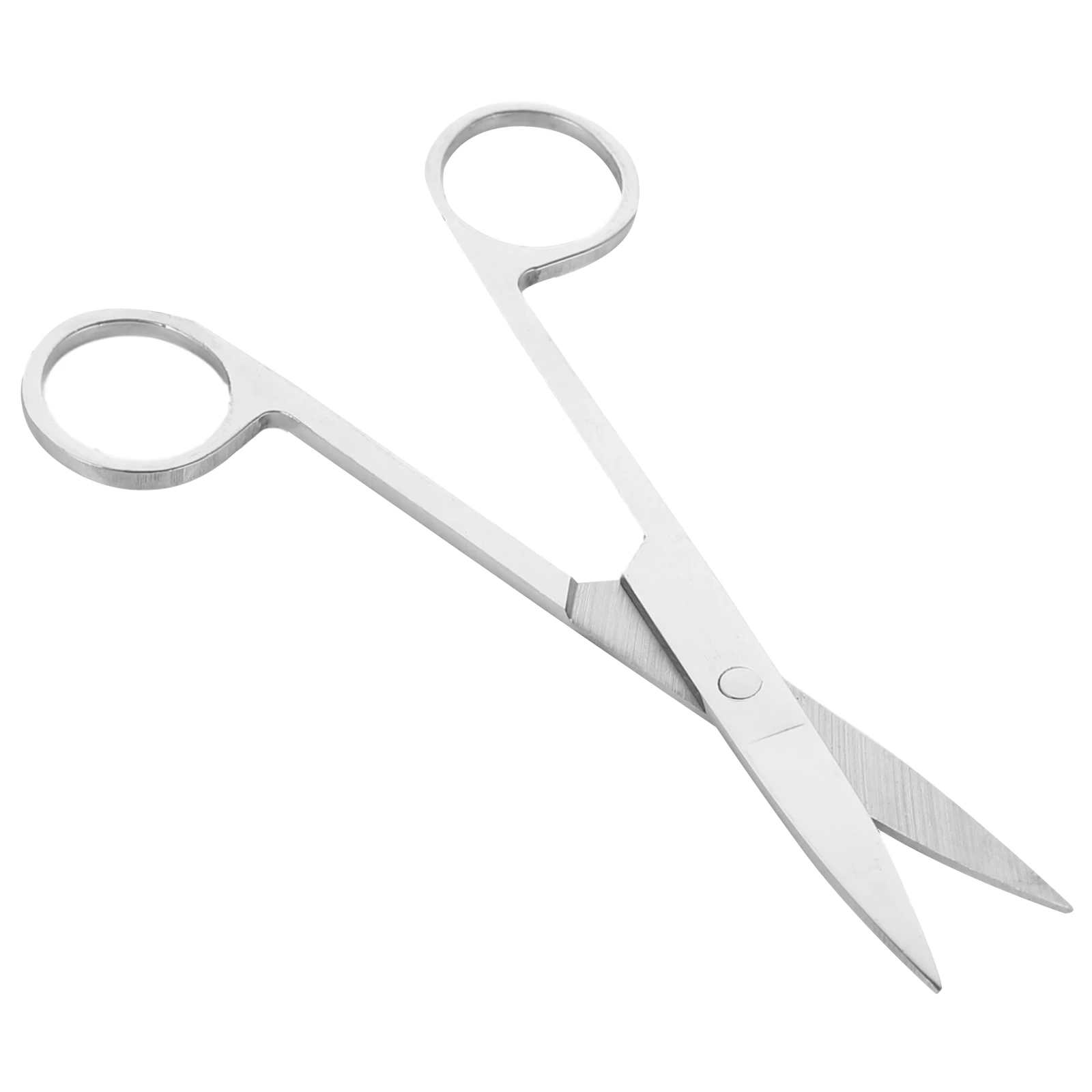 

Dissecting Scissors Animal Experiment Surgical Anatomy Nickel Plated Plating Student Laboratory