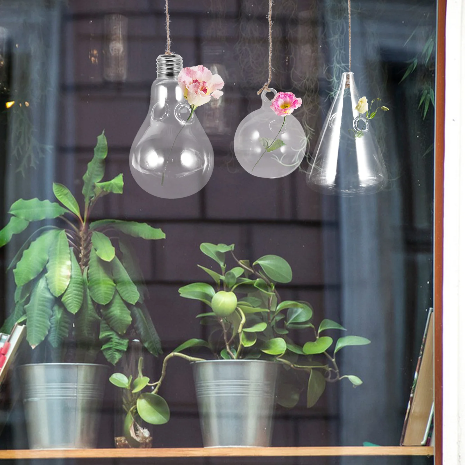 

3Pcs Transparent Glass Hanging Vases Delicate Hydroponic Planters Flower Containers Home Hanging Decor Terrarium for Plants