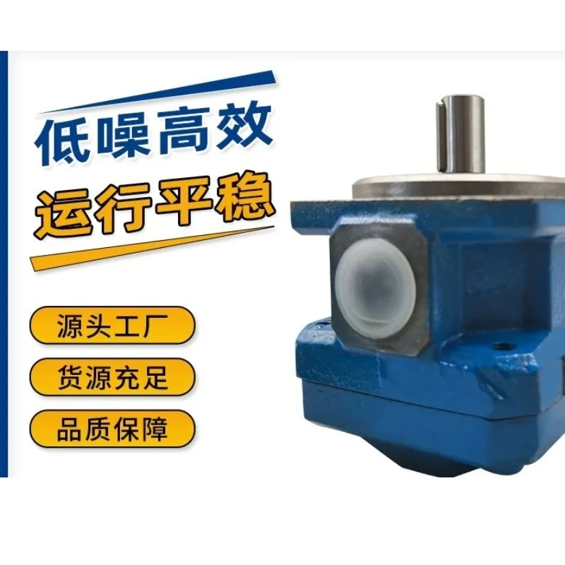 Accessories Shanghai Machine Tool Factory GPA2-16-E-20R6.3/10/1/2/4/25/40/63 Foaming Machine Gear Pump