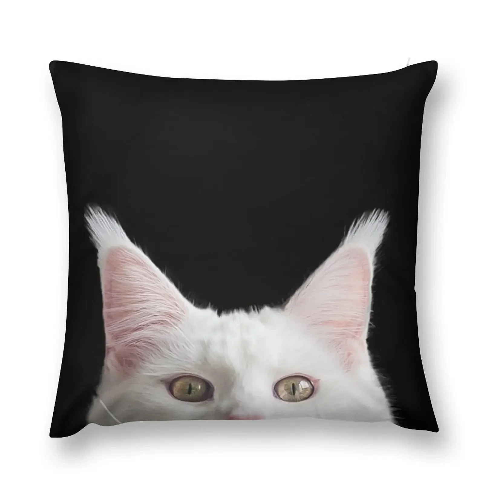 

Mainecoon cat Throw Pillow Christmas Pillowcase autumn decoration pillow