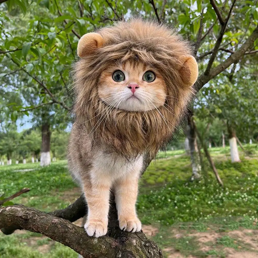 Cute Lion Cat Hat Lion Style Pet Hat for Dogs Cats Soft Breathable Headwear for Photography Props Novelty Costume for Pets