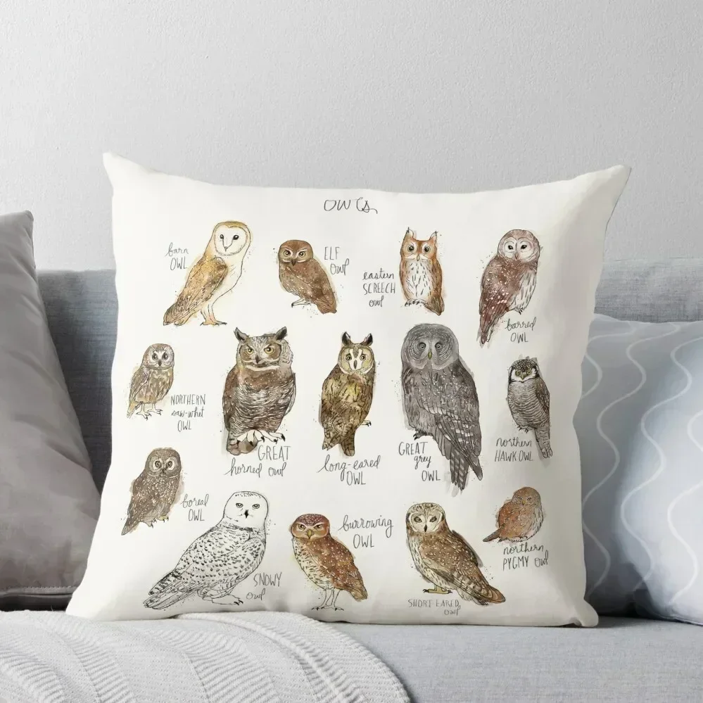 

Owls Throw Pillow Luxury Pillow Cover Sofa Pillow Cover New year Embroidered Cushion Cover