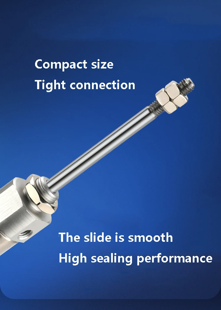 CDJ2D Bore16 Pneumatischer Mini-Edelstahl-Luftzylinder Doppelohr-Typ mit Eingebautem Magnetring – Detail 5