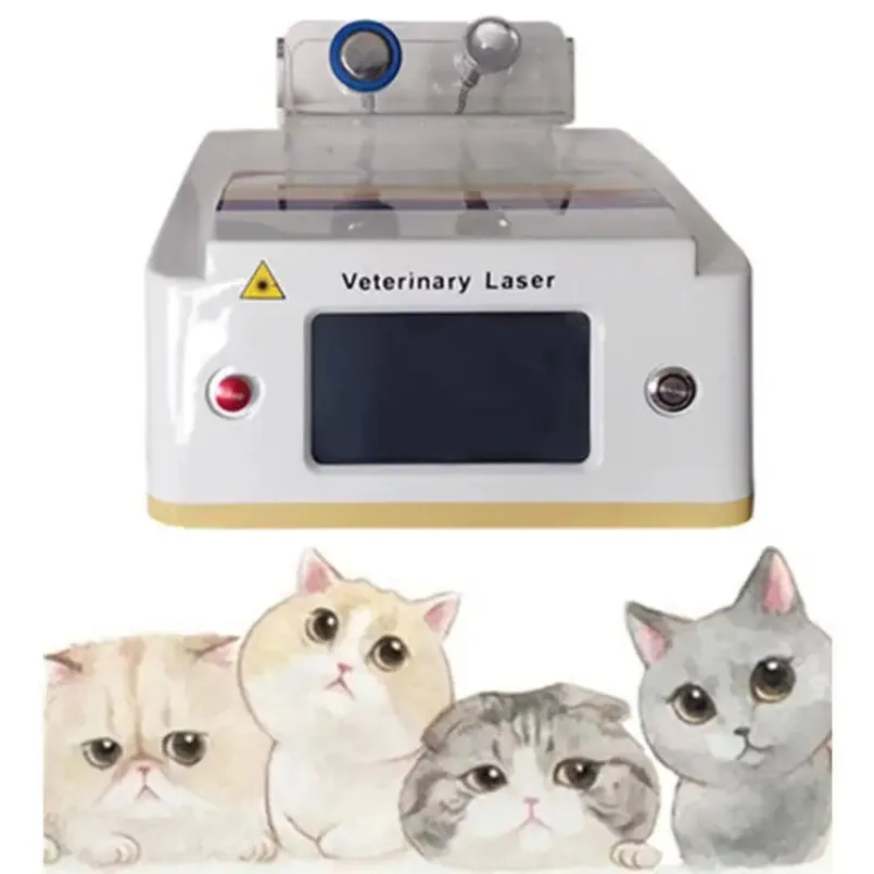 980Nm Laser Facial Leg Pain Veterinary Treatment Veterinary Rbs Dog Therapy Machine